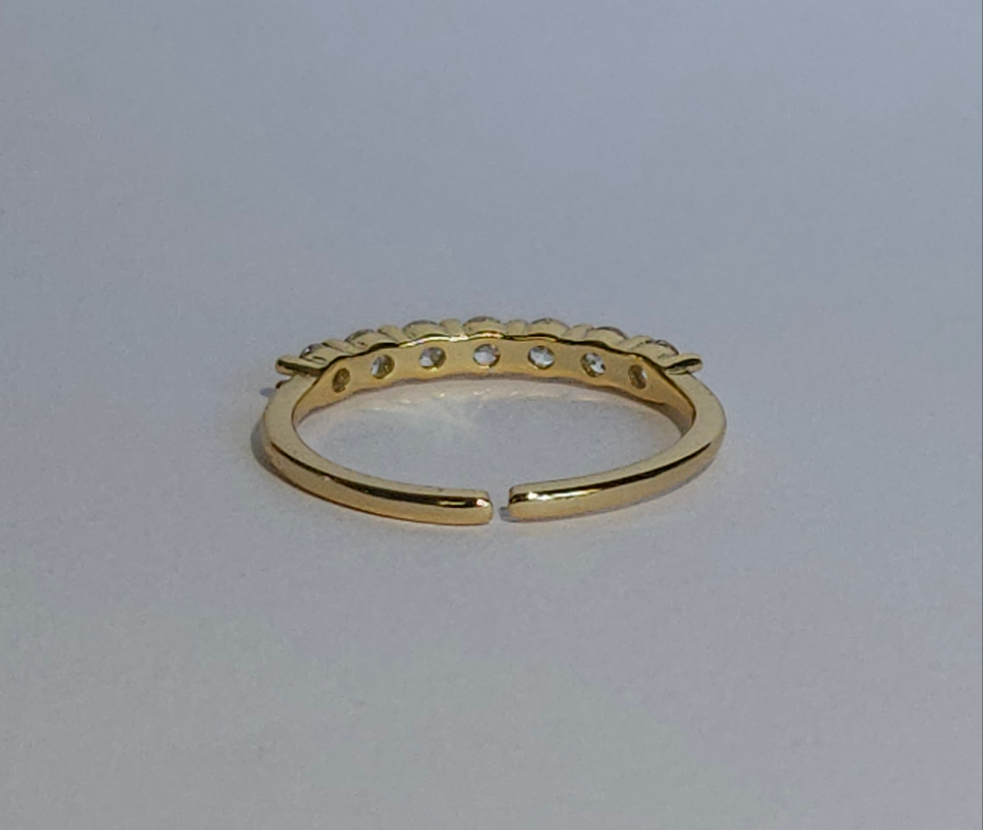 Santé 18k guld