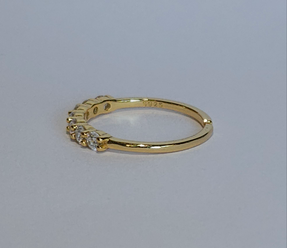 Santé 18k guld
